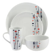 Rayware Reflect 16 Piece Dinner Set