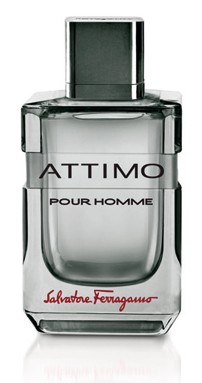 Salvatore Ferragamo Attimo Pour Homme After