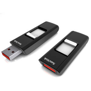 SanDisk Cruzer 8GB USB Flash Drive