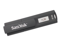 SANDISK Cruzer Enterprise