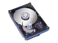 Barracuda 120Gb 8mb Cache 7200RPM HDD OEM