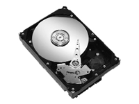 Barracuda 7200.10 - hard drive - 160 GB - ATA-100