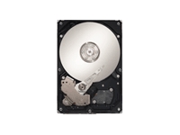 Barracuda ES.2 - hard drive - 500 GB - SATA-300