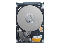 SEAGATE Momentus 5400 FDE.3 ST9320329AS - hard drive - 320 GB - SATA-300