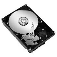 OEM Seagate Barracuda 7200.9 500GB 7200rpm