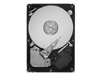 SV35.3 Series ST3500320SV - hard drive - 500 GB - SATA-300