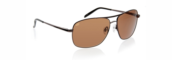 Navigator Sunglasses