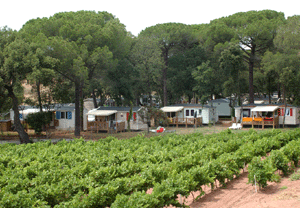 Night Camping Break at Les Cigales, Var