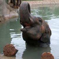 Terra Natura, Benidorm