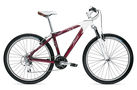 4300 2009 Women` Mountain Bike