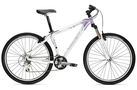 4300 Womens 2008 Mountain Bike