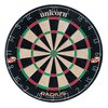 Radius Dartboard (79423)