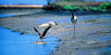 Unbranded 3 Day Kakadu Hawk Dreaming 4WD Tour