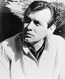 David Janssen photo