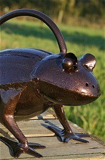 Unbranded Frog Watering Can