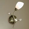 Unbranded Gardenia Wall Light