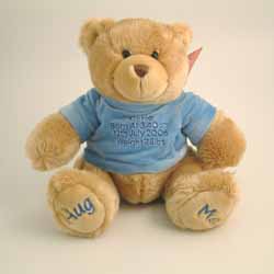 This beautiful hand made Hug Me soft teddy comes in 4 colours and is 25cms high from sitting  with