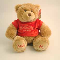 This beautiful hand made Hug Me soft teddy comes in 4 colours and is 25cms high from sitting  with