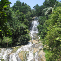 Enjoy a fabulous full day four-wheel drive adventure through the jungle of Koh Samui.