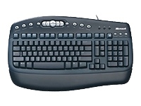 MS MULTIMEDIA KEYBOARD BLACK       K49-00103