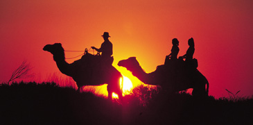 camel dinner dine alice spring springs ride date garden gardens todd river bed red gums farm kangaro