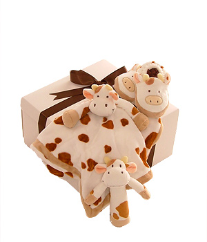 Welcome baby to the world with this set containing a cuddleblanket slippers and a rattle. This is a 