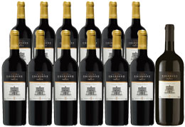 Unbranded Ultima Edizione 2008   FREE Magnum - Mixed case