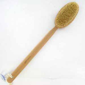 Stimulating Body Brush