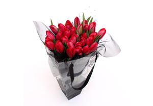 Tulips Gift Bag