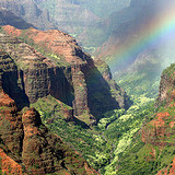 Canyon and Wailua River Tour - Adult ex