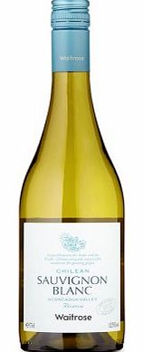 Chilean Sauvignon Blanc