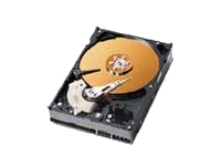 Caviar 250Gb 7200RPM HDD OEM