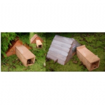 Hedgehog House Single