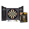 Professional Darts Set