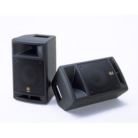 MSR100 Powered PA Speaker (Single)